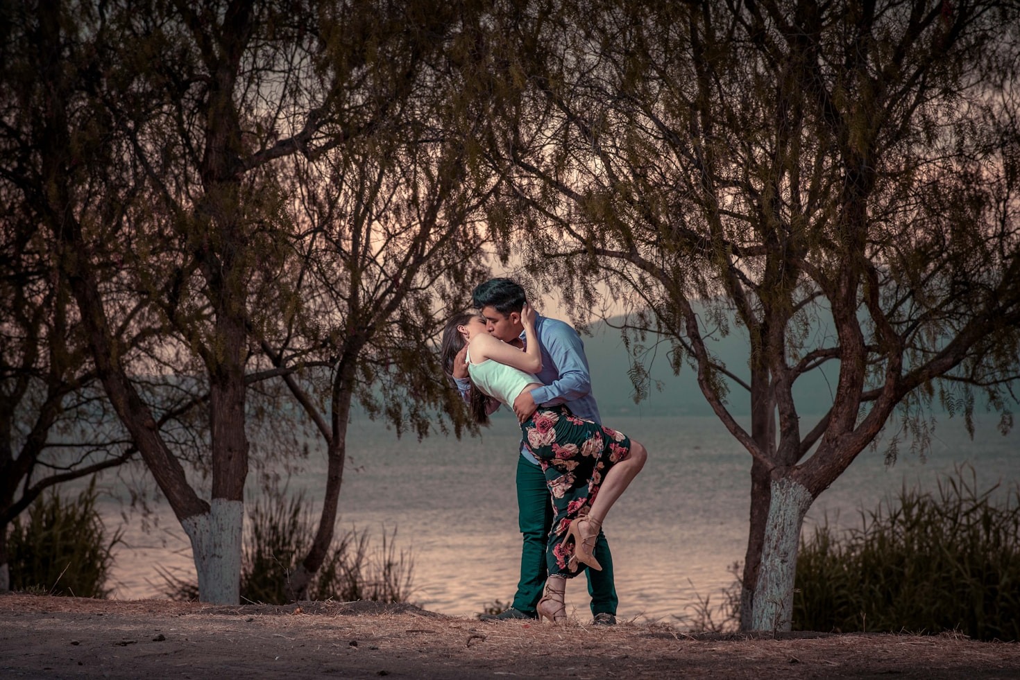 The Allure of Protective Shifters in Romance